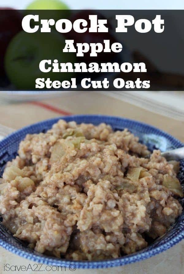 Crock Pot Apple Cinnamon Steel Cut Oats