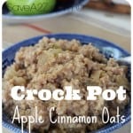 Crock Pot Apple Cinnamon Steel Cut Oats