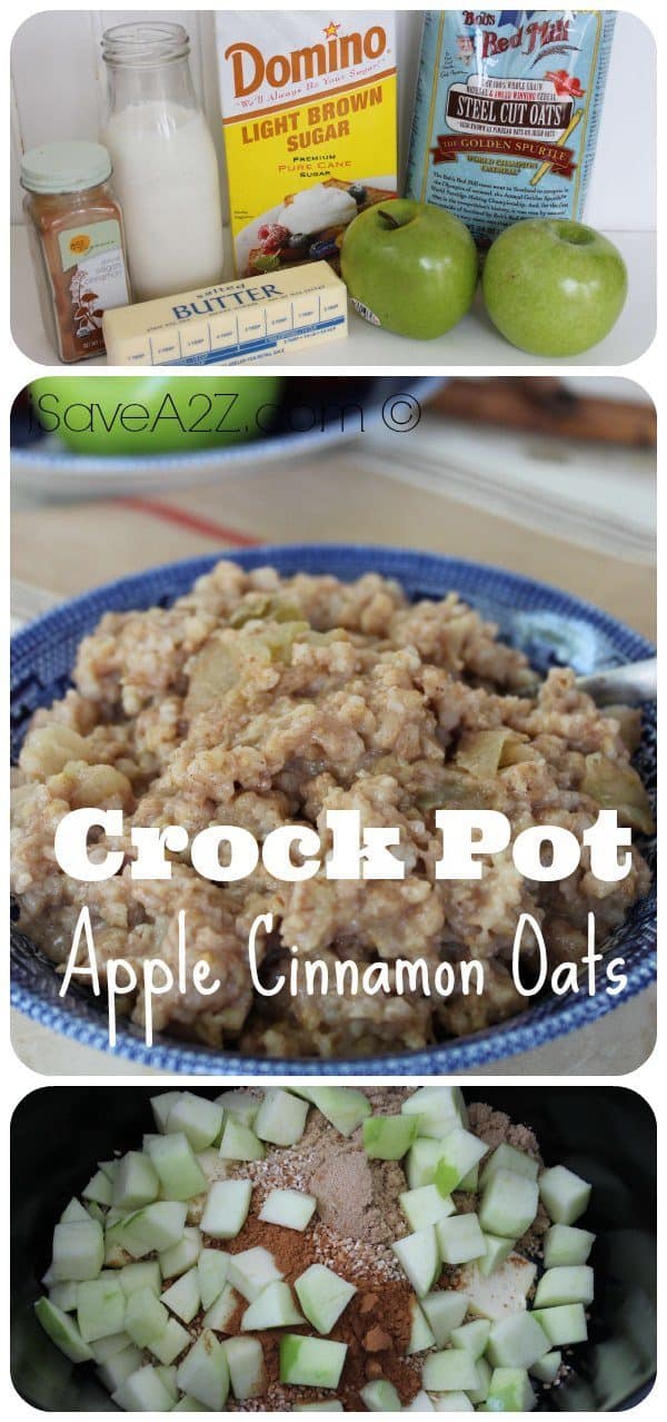 Crock Pot Apple Cinnamon Steel Cut Oats - iSaveA2Z.com