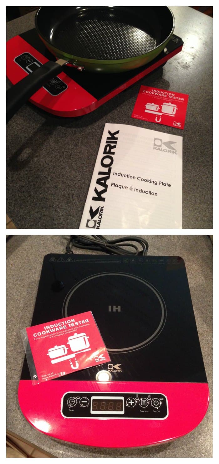Induction Plate Review