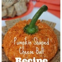 Pumpkin Shaped Cheese Ball - iSaveA2Z.com