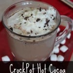 Crock Pot Hot Cocoa