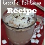Crock Pot Hot Cocoa