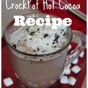 Crock Pot Hot Cocoa
