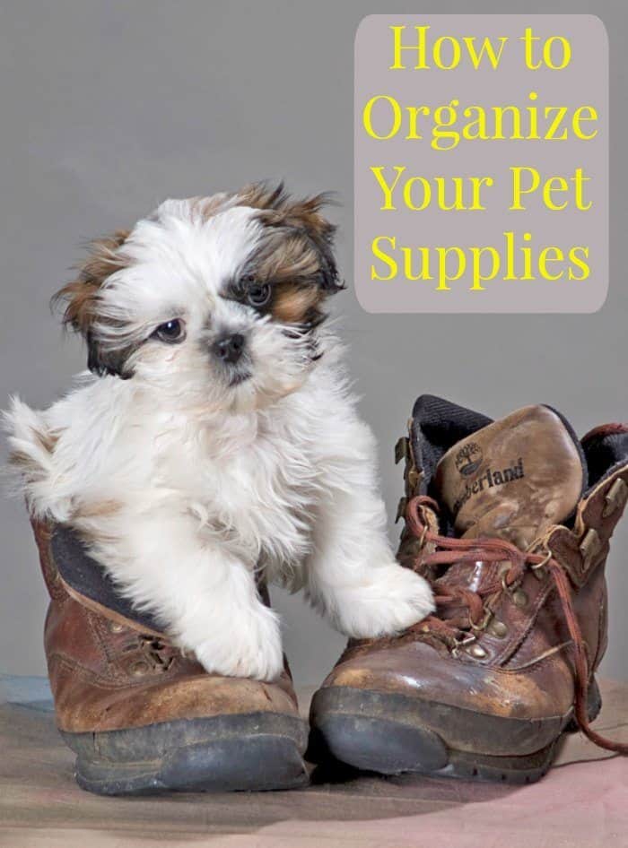 How to Organize Your Pet Supplies