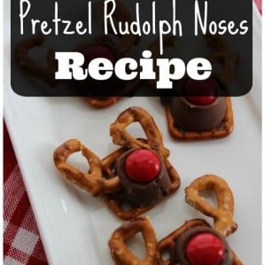 Pretzel_Rudolph_Noses