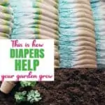 This is how Diapers help plants grow