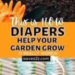 This is how Diapers help plants grow