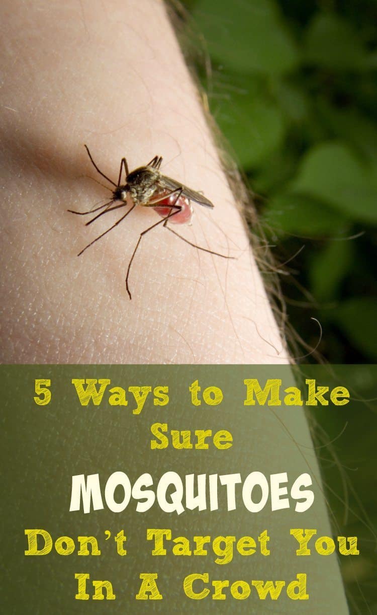 5 Ways to Make Sure Mosquitoes Don’t Target You In A Crowd