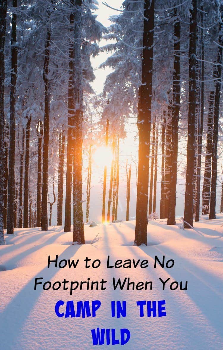 How to Leave No Footprint When You Camp in the Wild