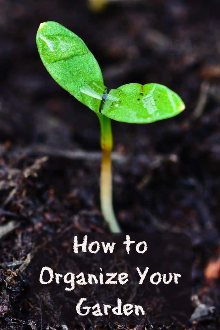 How to Organize Your Garden