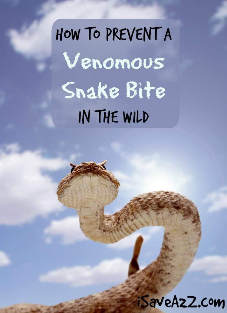 How to Prevent a Venomous Snake Bite in the Wild 