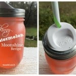 Skinny Watermelon Moonshine Recipe