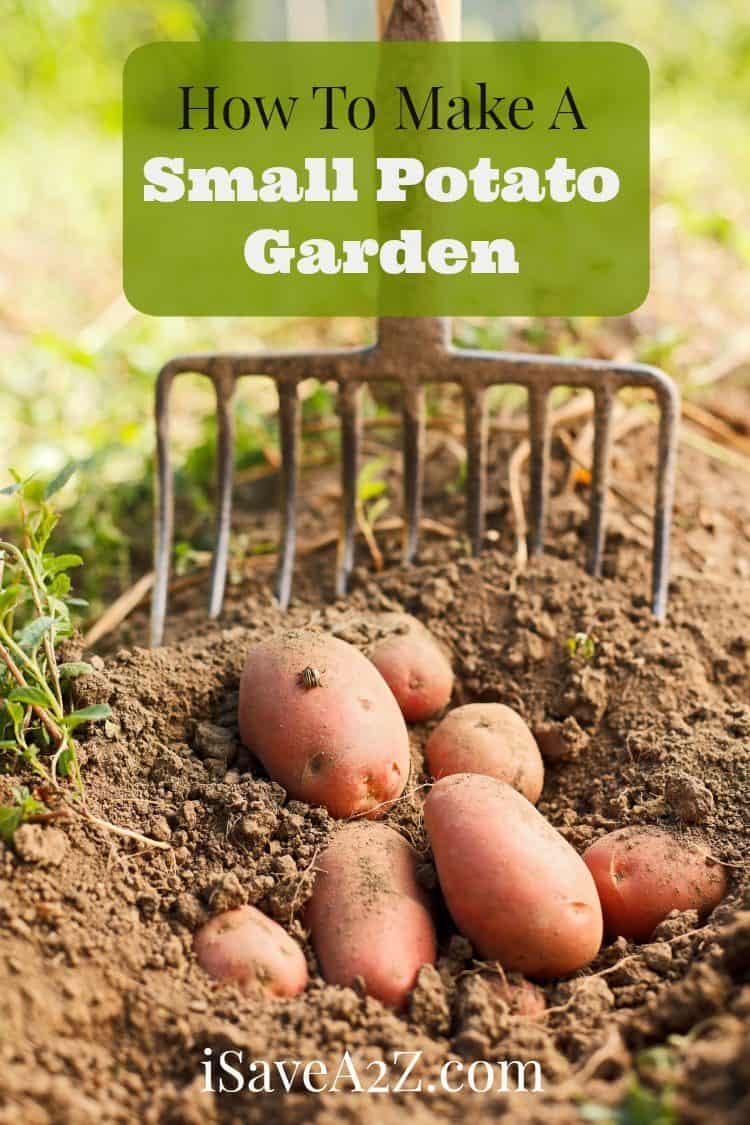 How To Make A Small Potato Garden