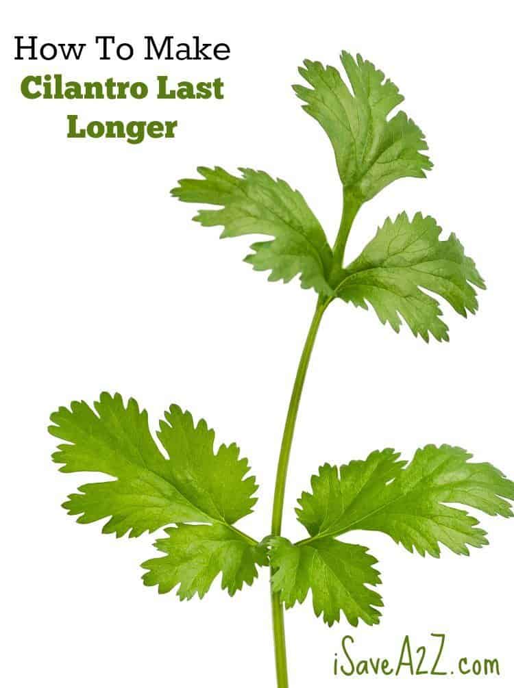 How To Make Cilantro Last Longer