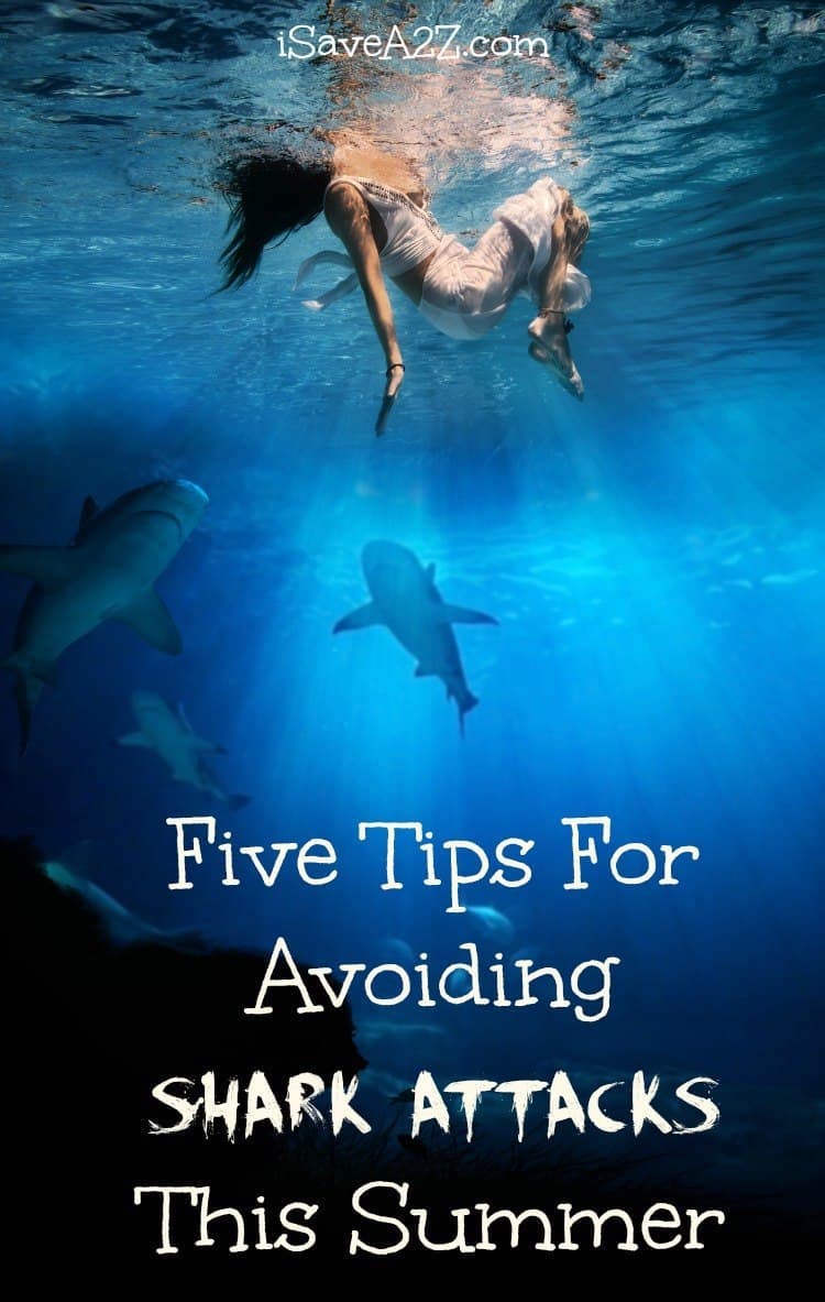 Five Tips For Avoiding Shark Attacks This Summer