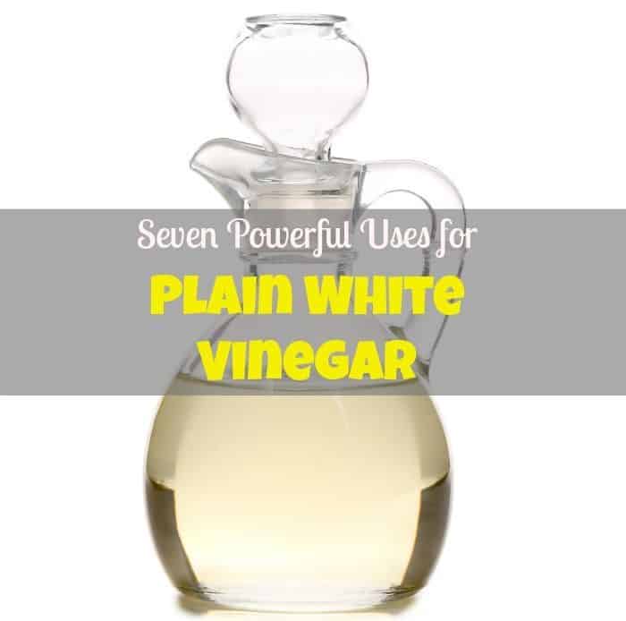 Plain White Vinegar