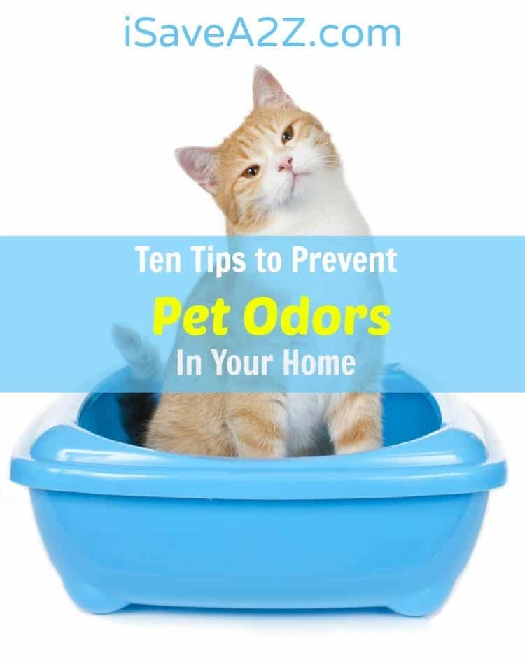 Ten Tips to Prevent Pet Odors In Your Home