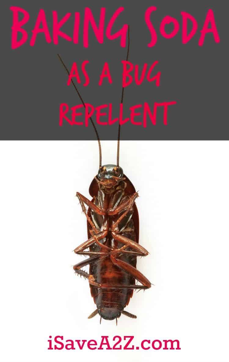 Using Baking Soda As A Bug Repellent