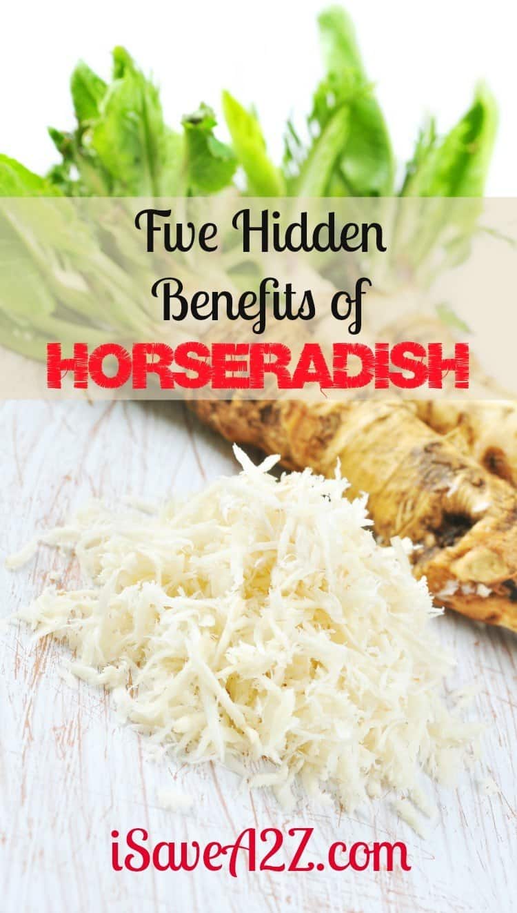 Five Hidden Benefits of Horseradish