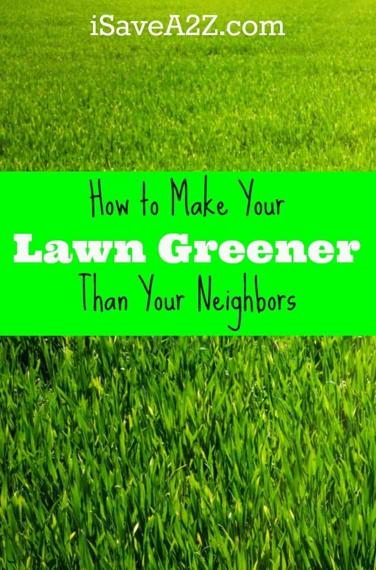 How to Make Your Lawn Greener Than Your Neighbors