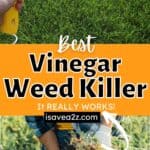 Weed Killer Home Remedy with this homemade weed killer using vinegar