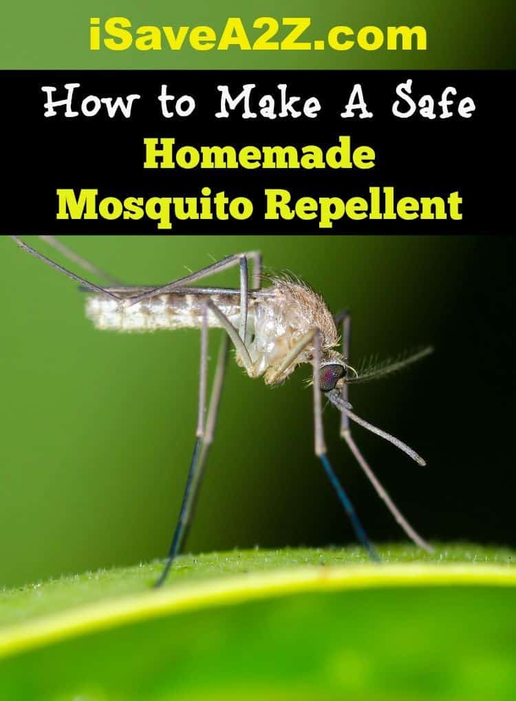 How to Make A Safe Homemade Mosquito Repellent - iSaveA2Z.com