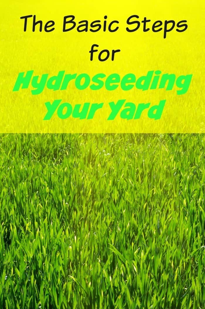 The Basic Steps of Hydroseeding Your Yard