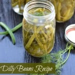 Dilly Beans Recipe