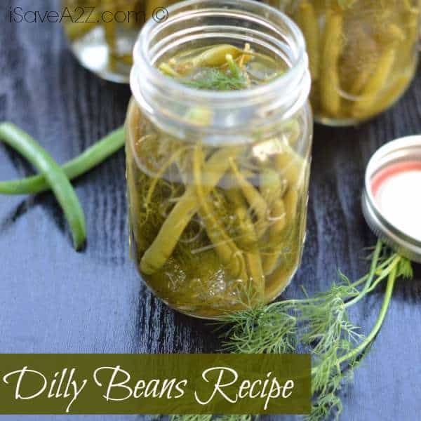 Dilly Beans Recipe