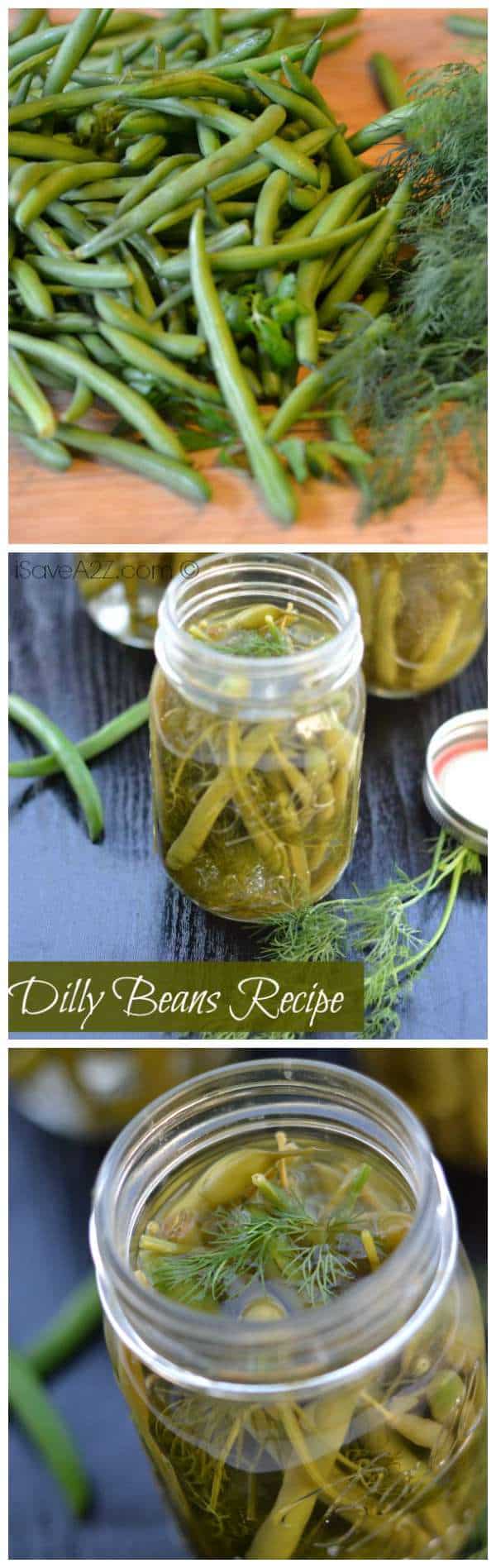 Dilly Beans Recipe