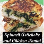 Spinach Artichoke and Chicken Panini