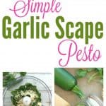 Easy Garlic Scape Pesto Recipe