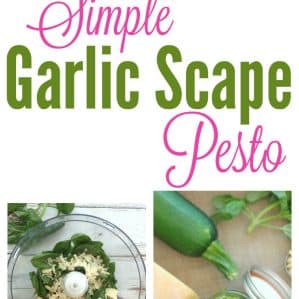 Easy Garlic Scape Pesto Recipe