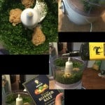 Grilled Garlic Cilantro Lime Chicken Recipe