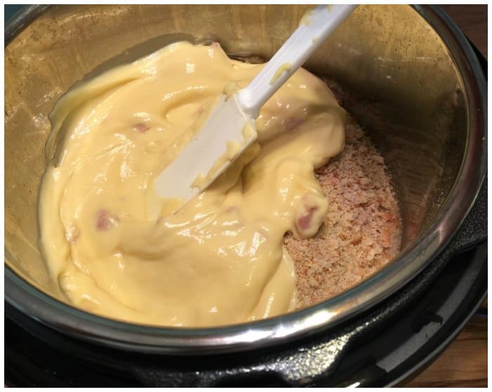 Instant Pot Chicken and Stuffing Recipe