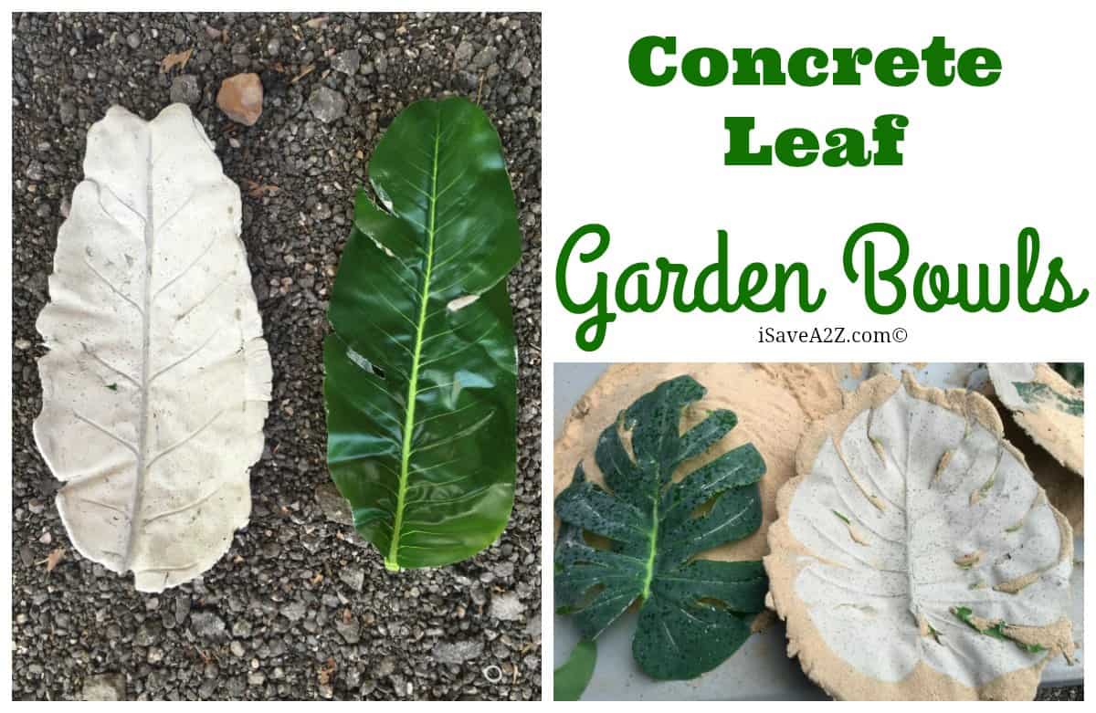 DIY Concrete Leaf Garden Bowl