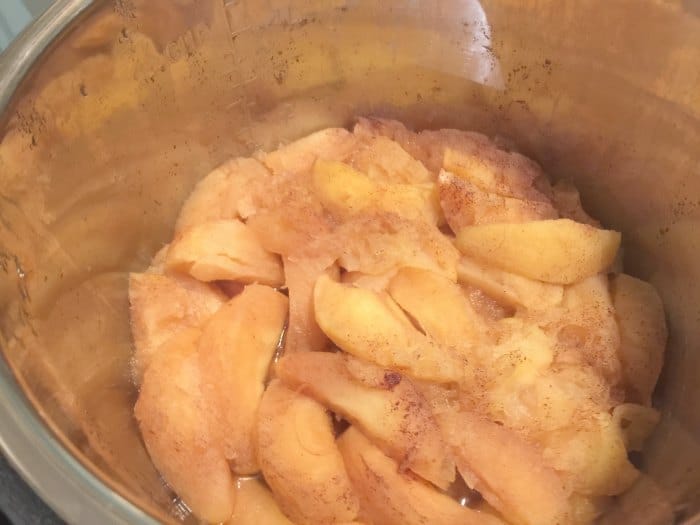 Homemade Pressure Cooker Applesauce Recipe
