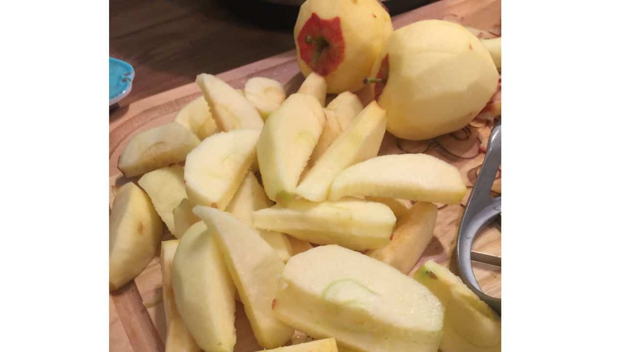 Homemade Pressure Cooker Applesauce Recipe
