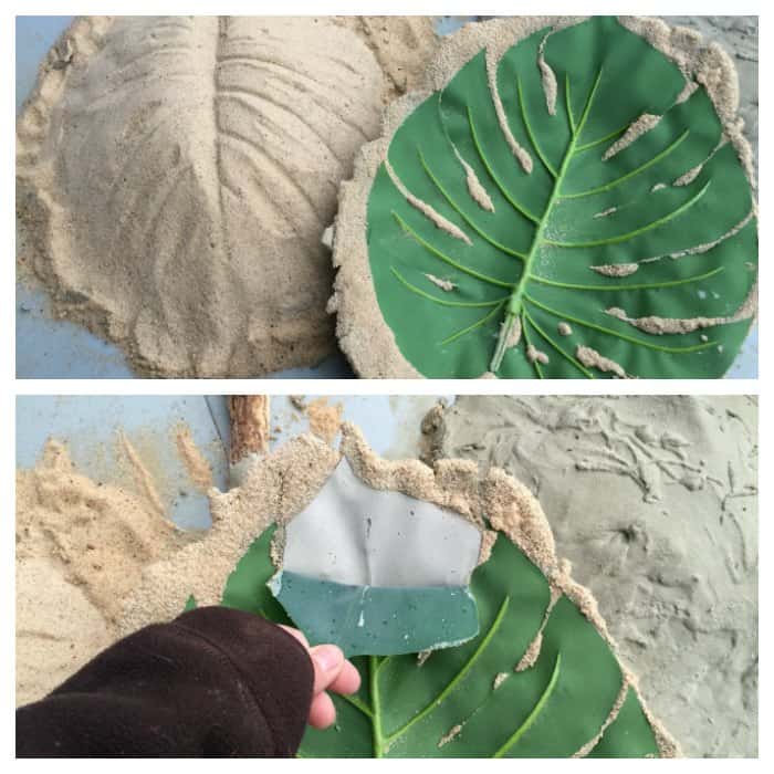 DIY Concrete Leaf Garden Bowls