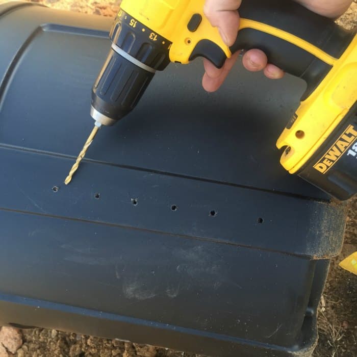 Tomato Plant Watering Hack 