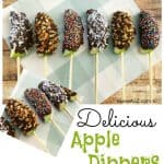 Delicious Apple Dipper Sticks