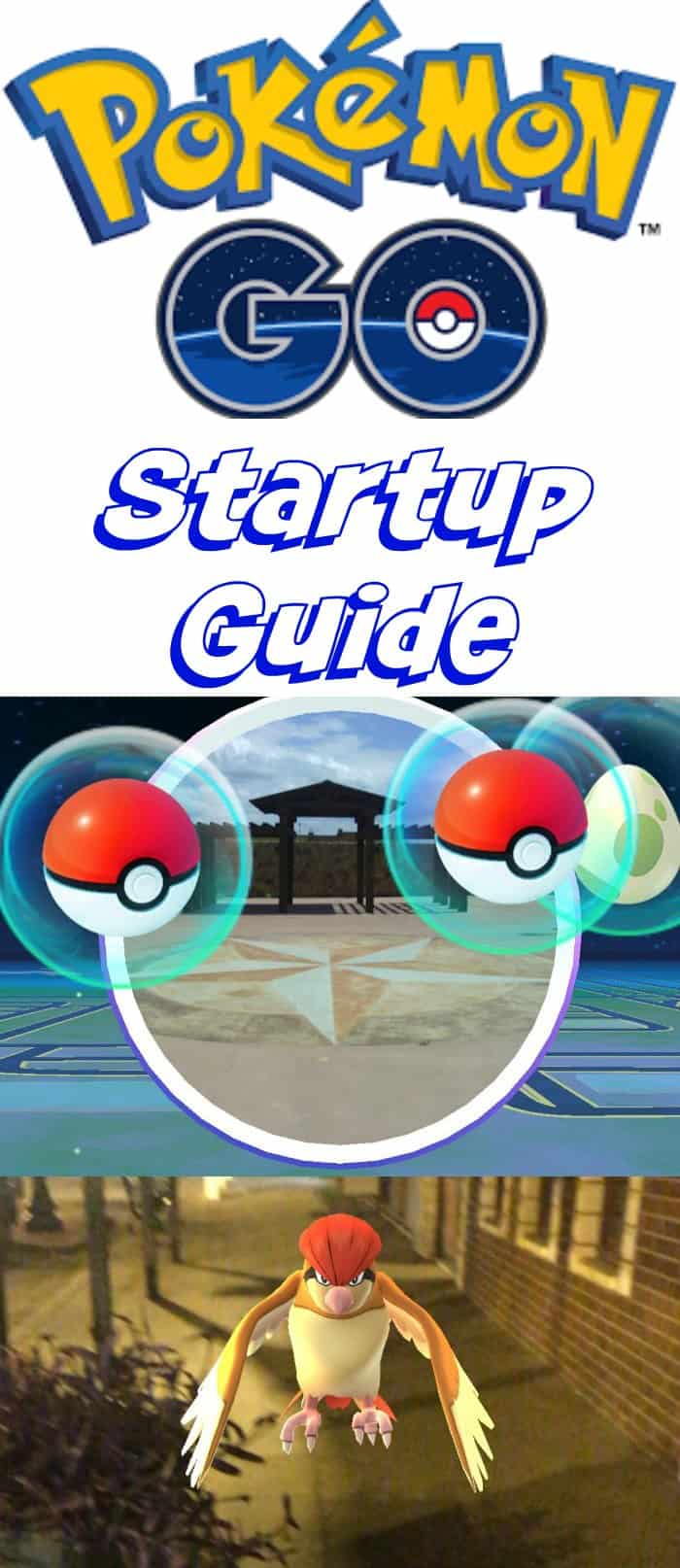 Pokemon GO Startup Guide