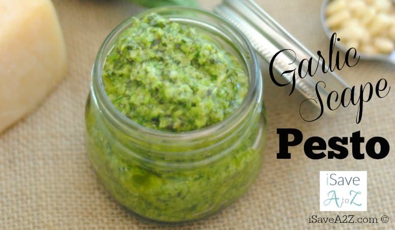 Easy Garlic Scape Pesto Recipe