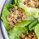 PF Chang's Chicken Lettuce Wraps Copycat Recipe