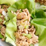 PF Chang's Chicken Lettuce Wraps Copycat Recipe