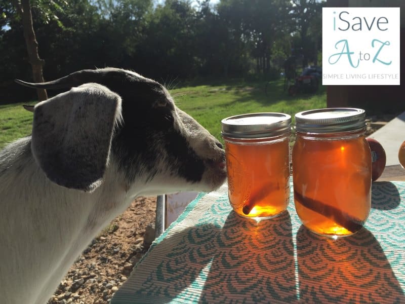 Apple Pie Moonshine Recipe