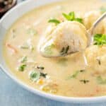Chicken dumplings soup with cream and thyme