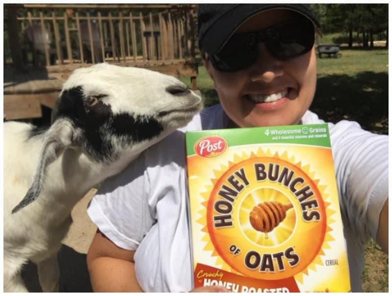 Honey Bunches of Oats plus a Giveaway!