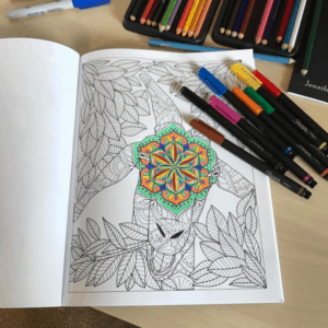 Goat Adult Coloring Book